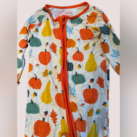 Little Sleepies Autumn harvest 6-12 month onesie - Picture 3 of 7